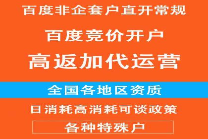 短视频信息流营销实战：小红书的成长之路